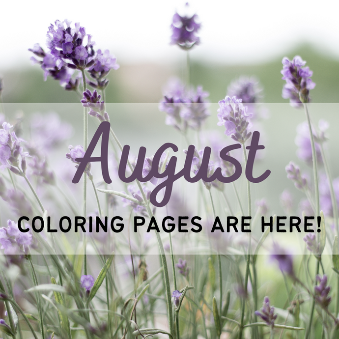 August Printable Pages Pack - Coloring Book Zone