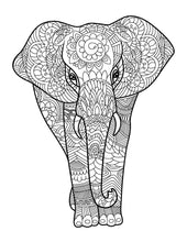 Amazing Animals for Adults Who Color - Live Your Life in Color Series - Coloring Book Zone