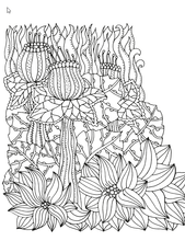Flowers & Plants for Adults Who Color, Volume 2 - Live Your Life In Color Series - Coloring Book Zone