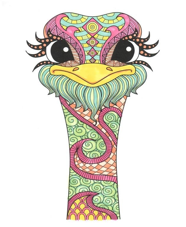 Amazing Animals for Adults Who Color - Live Your Life in Color Series - Image 2