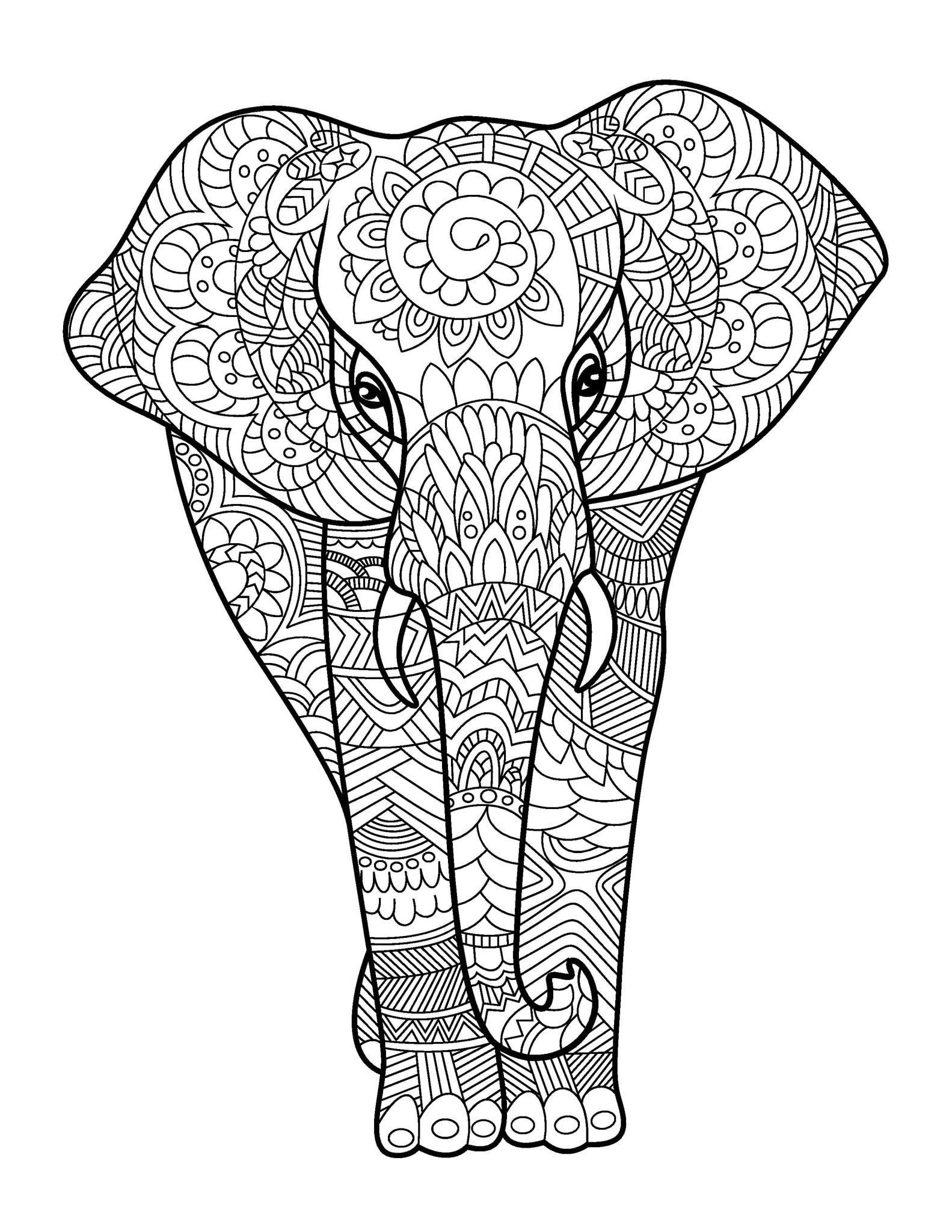 Amazing Animals for Adults Who Color - Live Your Life in Color Series - Image 3