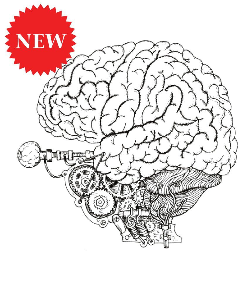 Color Your Way To Success - Live Your Life in Color Series - Image 4