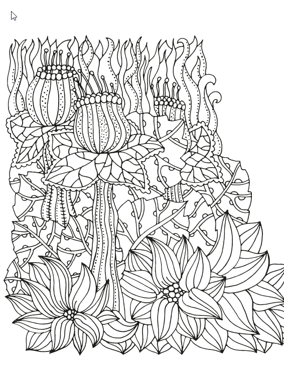 Flowers & Plants for Adults Who Color, Volume 2 - Live Your Life In Color Series - Image 6